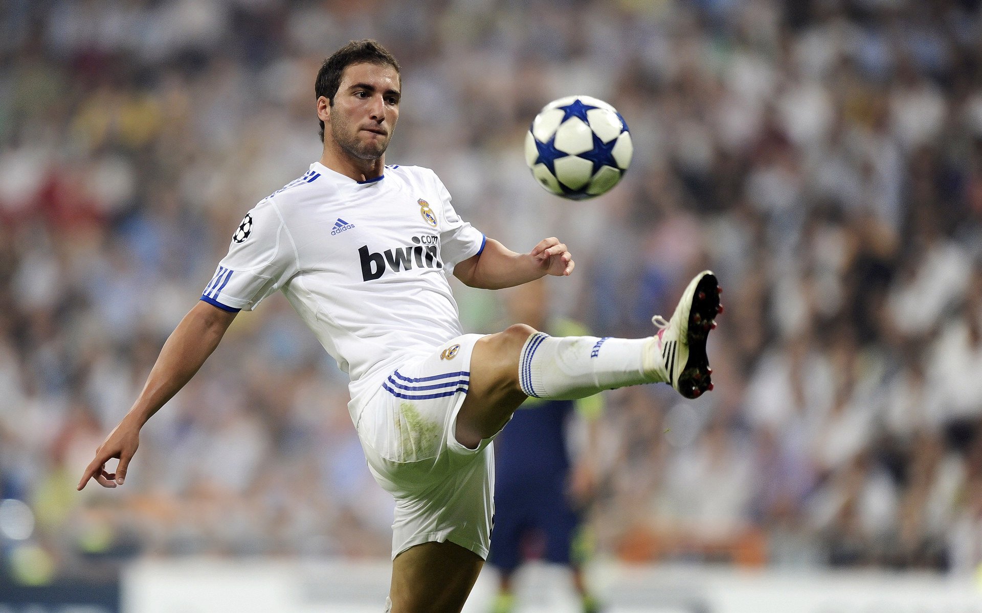 竞逐胜利：劲敌相遇，谁能笑到最后？，竞逐小说